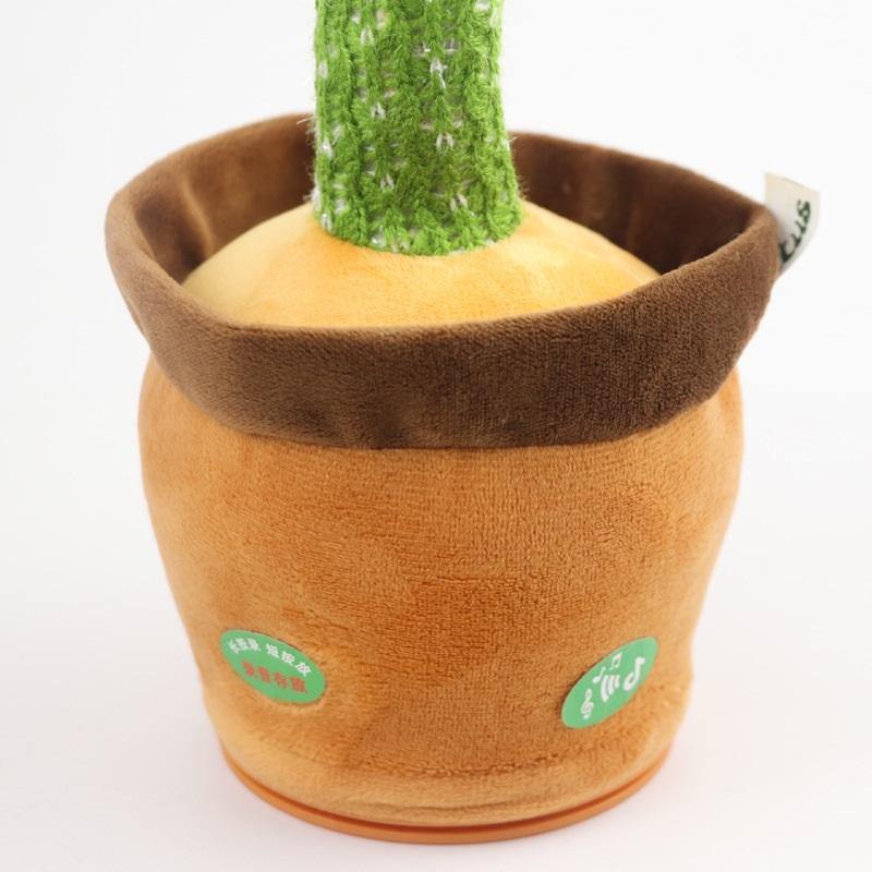 Cactus Bailarin de Peluche - Central Wing